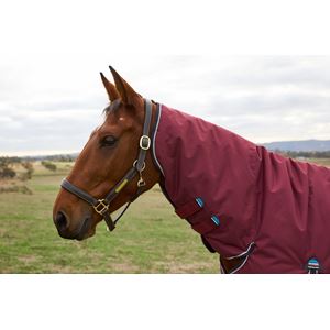 Weatherbeeta Comfitec Prelim Turnout Combo - 0g (Burgundy/Navy)