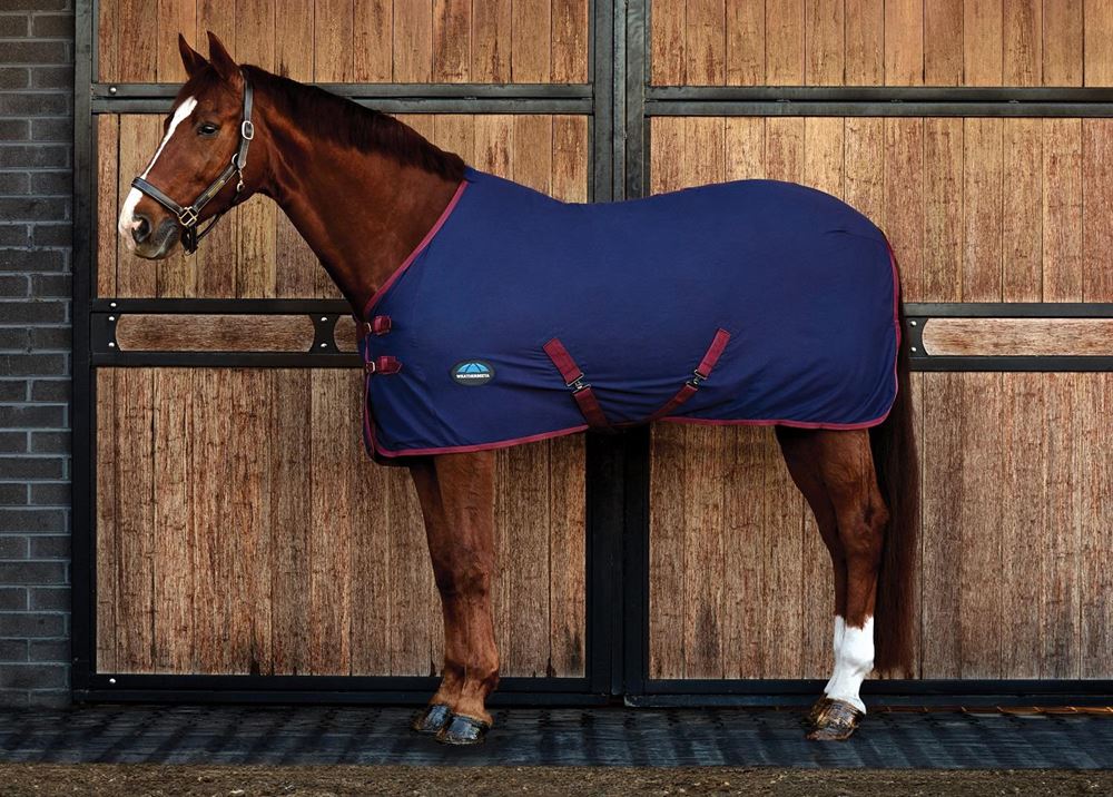 Weatherbeeta Cotton Sheet Standard Neck (Navy/Burgundy)