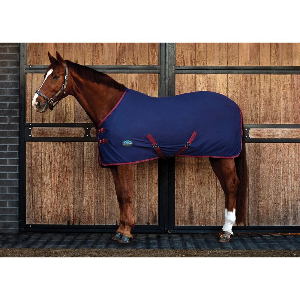 Weatherbeeta Cotton Sheet Standard Neck (Navy/Burgundy)