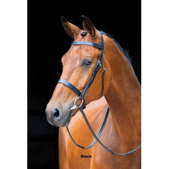 Shires Salisbury Berrington Bridle (Black)