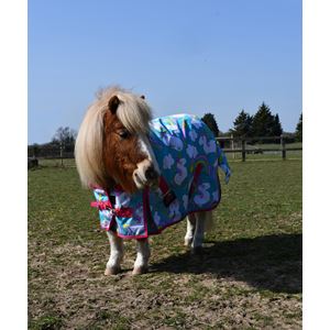 Rhinegold Unicorn Mini Torrent Outdoor Rug - 0g (Unicorn Print)