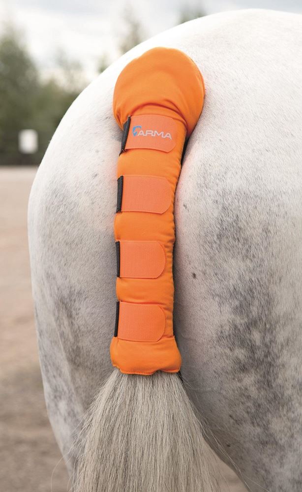 Shires Padded Tail Guard
