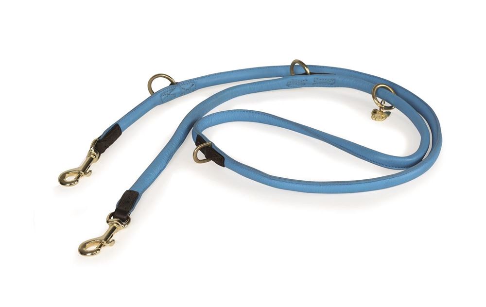 Shires Digby & Fox Rolled Leather Dog Training Lead