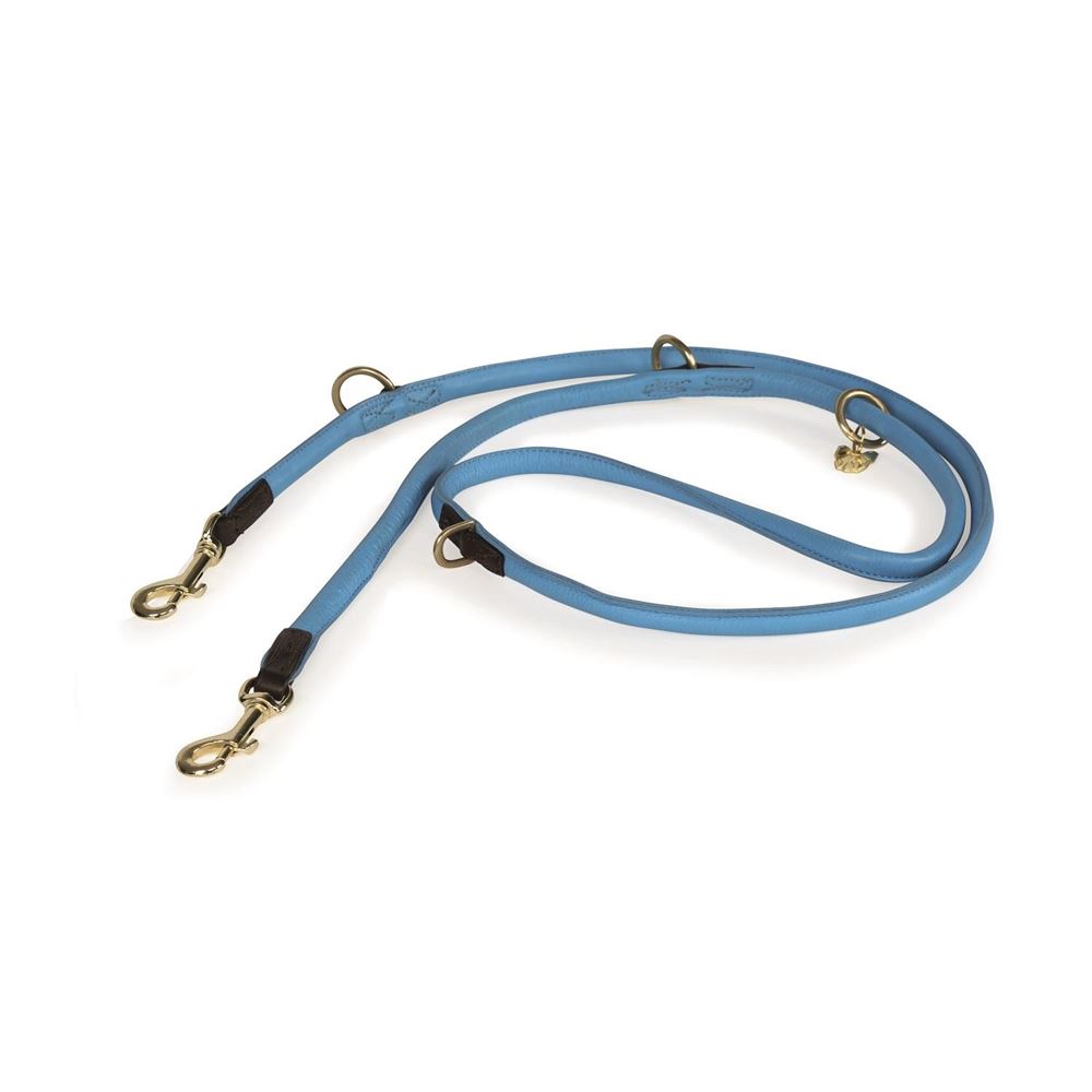 Shires Digby & Fox Rolled Leather Dog Training Lead