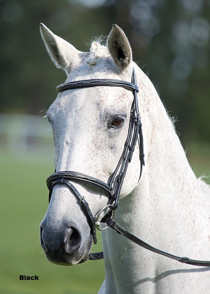 Shires Avignon Padded Raised Flash Bridle