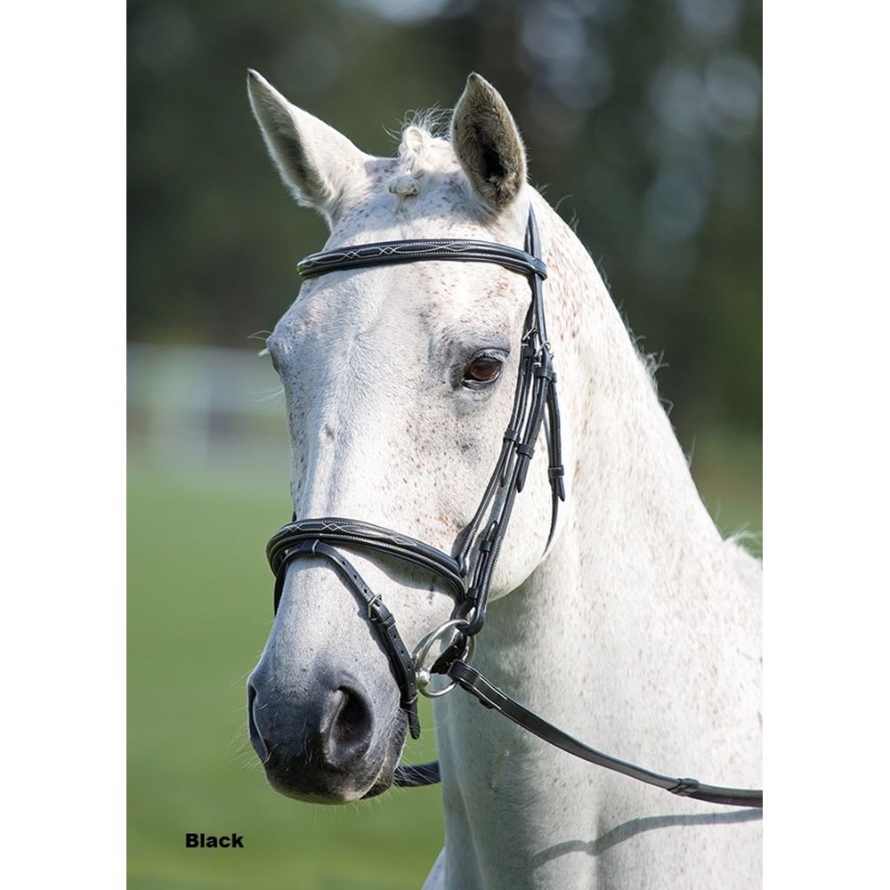 Shires Avignon Padded Raised Flash Bridle