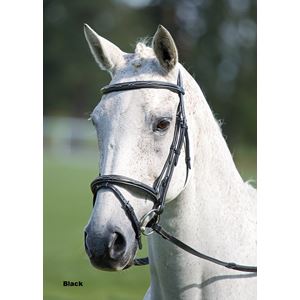Shires Avignon Padded Raised Flash Bridle