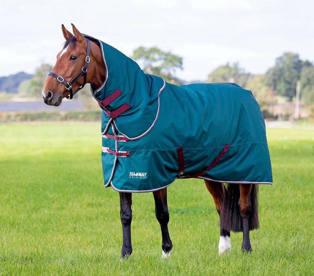 Shires Tempest Original 200 Turnout Rug & Neck Set (Green) *barcodes*