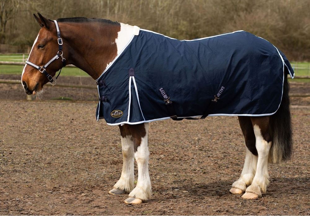 Gallop Summer Sheet (Navy)