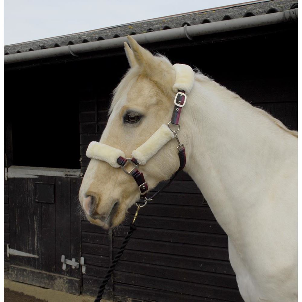 Rhinegold Fur Trim Headcollar (Maroon Stripe)
