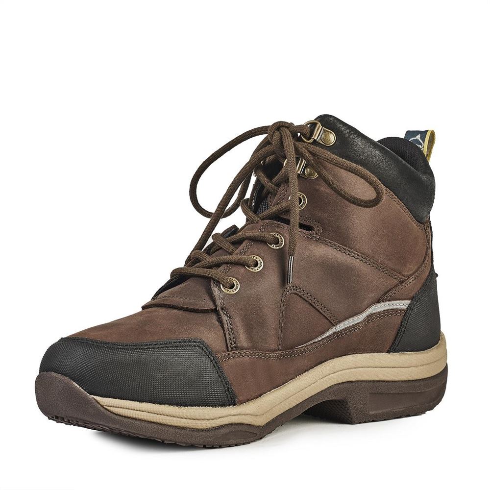 Shires Moretta Eleonora Lace Front Boots (Brown)