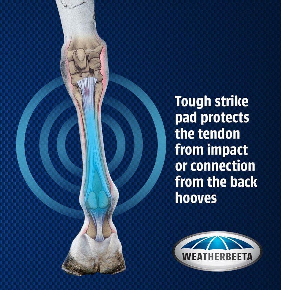 Weatherbeeta Dynamic Open Front Boots