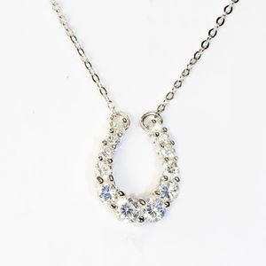 Falabella Sterling Silver Graduated Horse Shoe Pendant with Presentation Box PD09