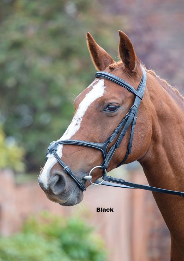 Shires Avignon Grackle Bridle
