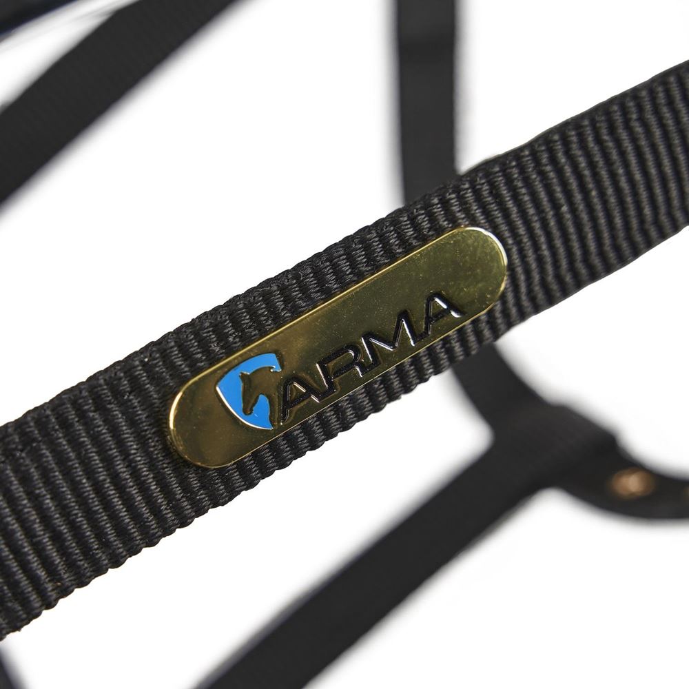 Shires Arma Fleece Lined Lunge Cavesson (Black)