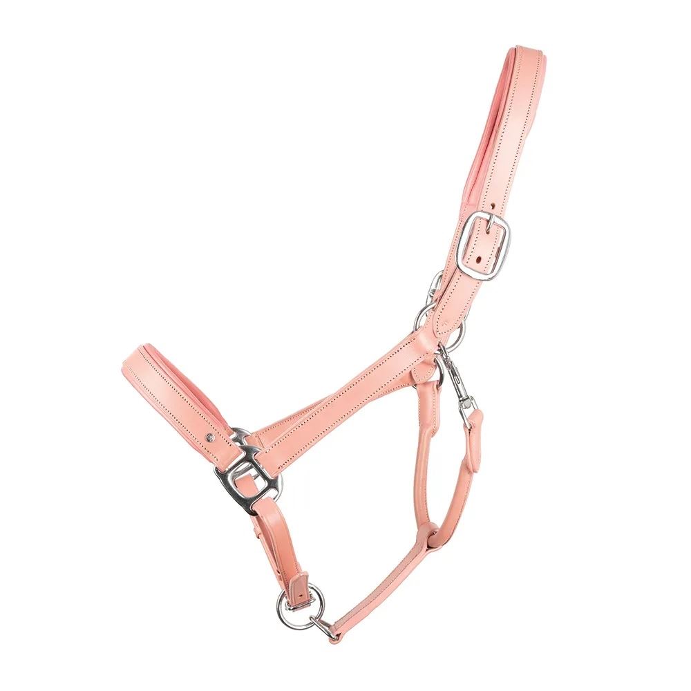 Serena Leather Head Collar by Little Rider (Pink)