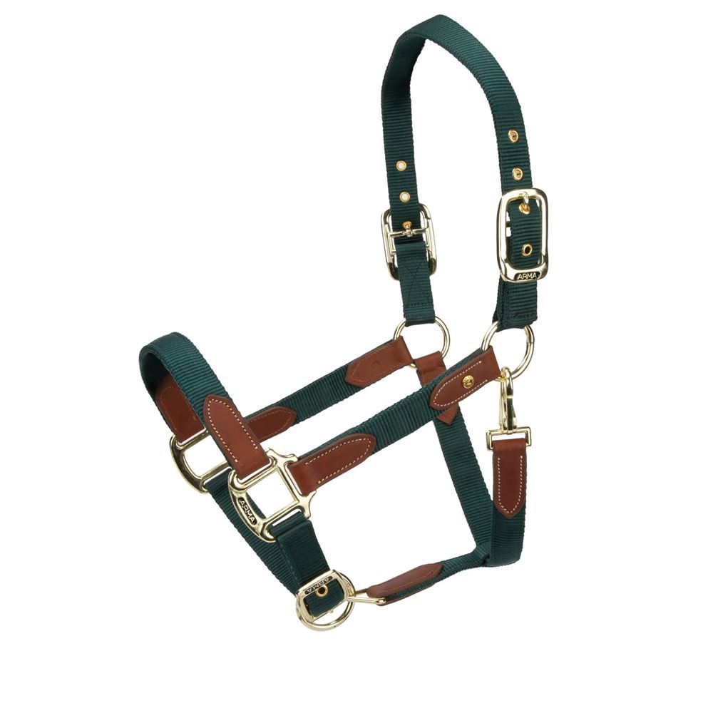 Shires Arma Porto Headcollar (Black Cherry)