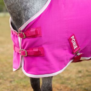 Gallop Ponie Pink Jersey Cooler Rug