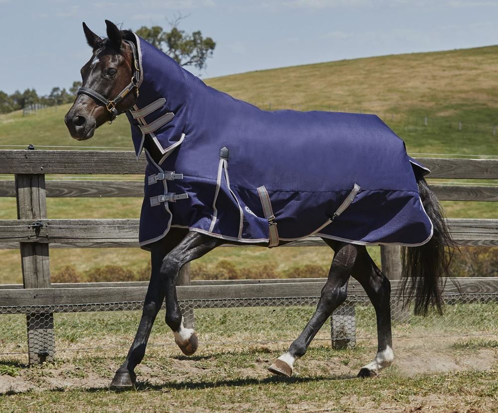 Weatherbeeta ComFiTec Essential Combo Heavy