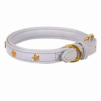 Shires Digby & Fox Star Dog Collar - L, XL, XXL (Lilac)