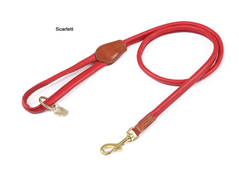 Shires Digby & Fox Rolled Leather Dog Lead