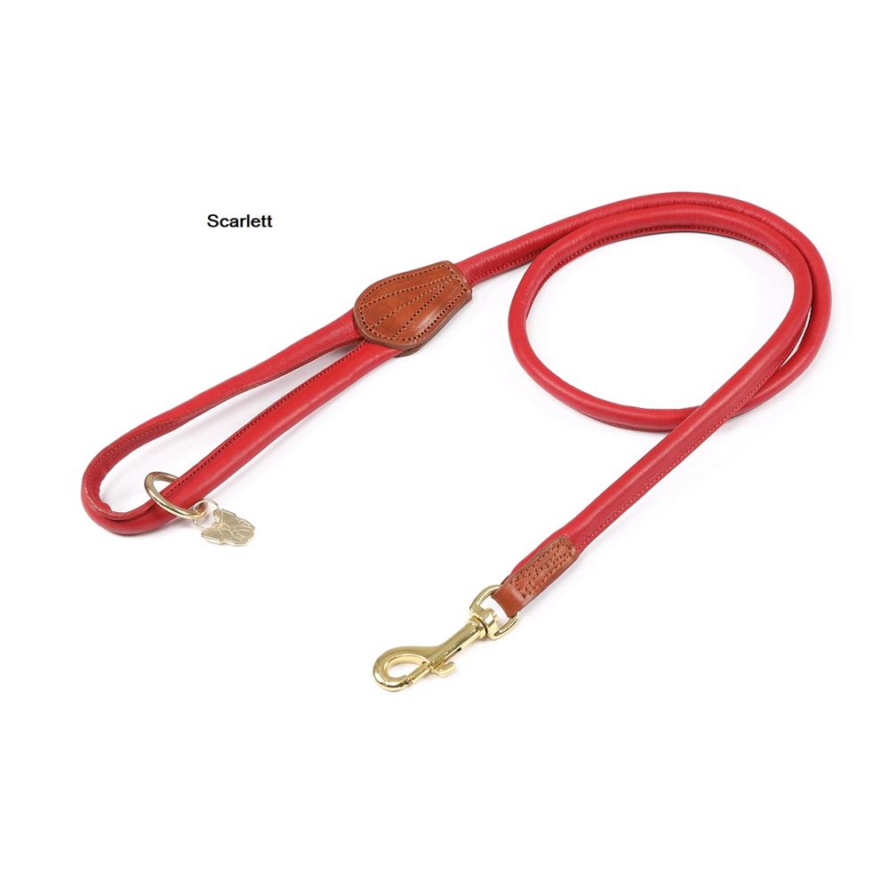 Shires Digby & Fox Rolled Leather Dog Lead