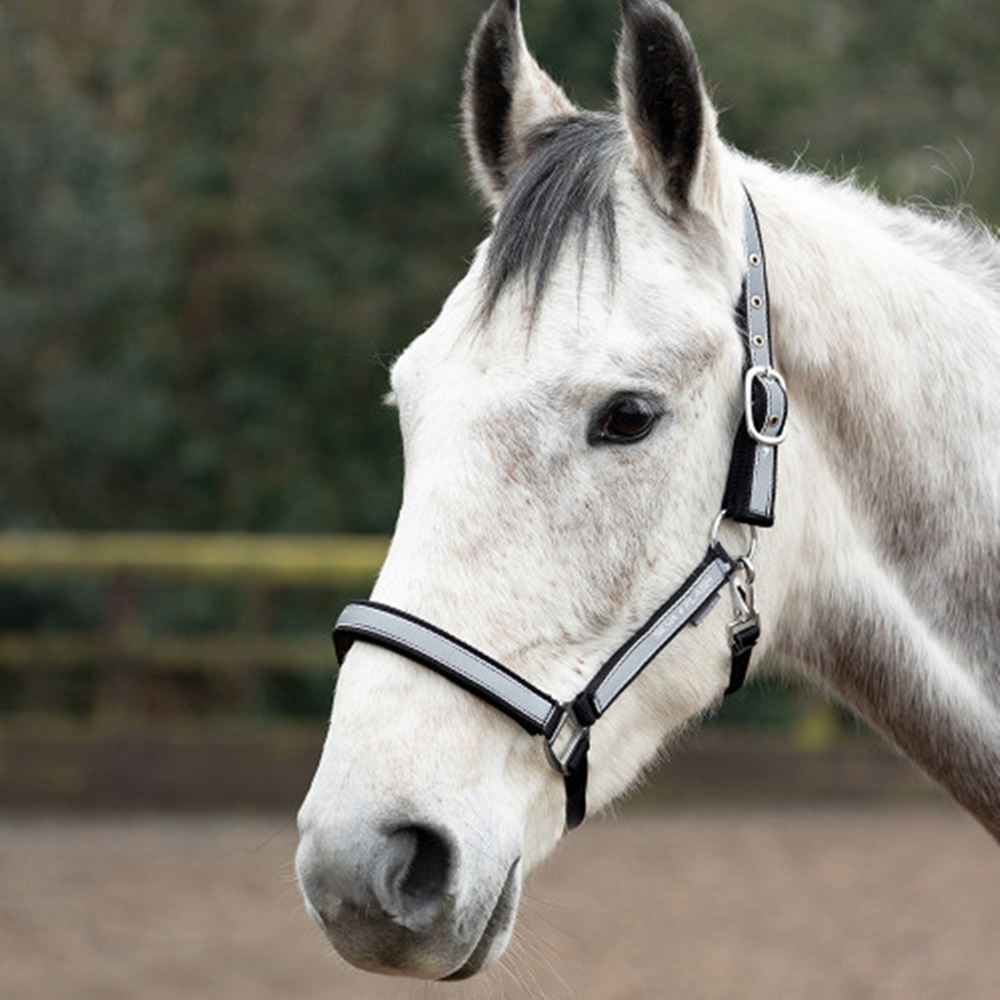 Hy Equestrian Silva Flash Head Collar (Black/Reflective Silver)