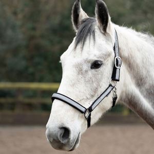 Hy Equestrian Silva Flash Head Collar (Black/Reflective Silver)