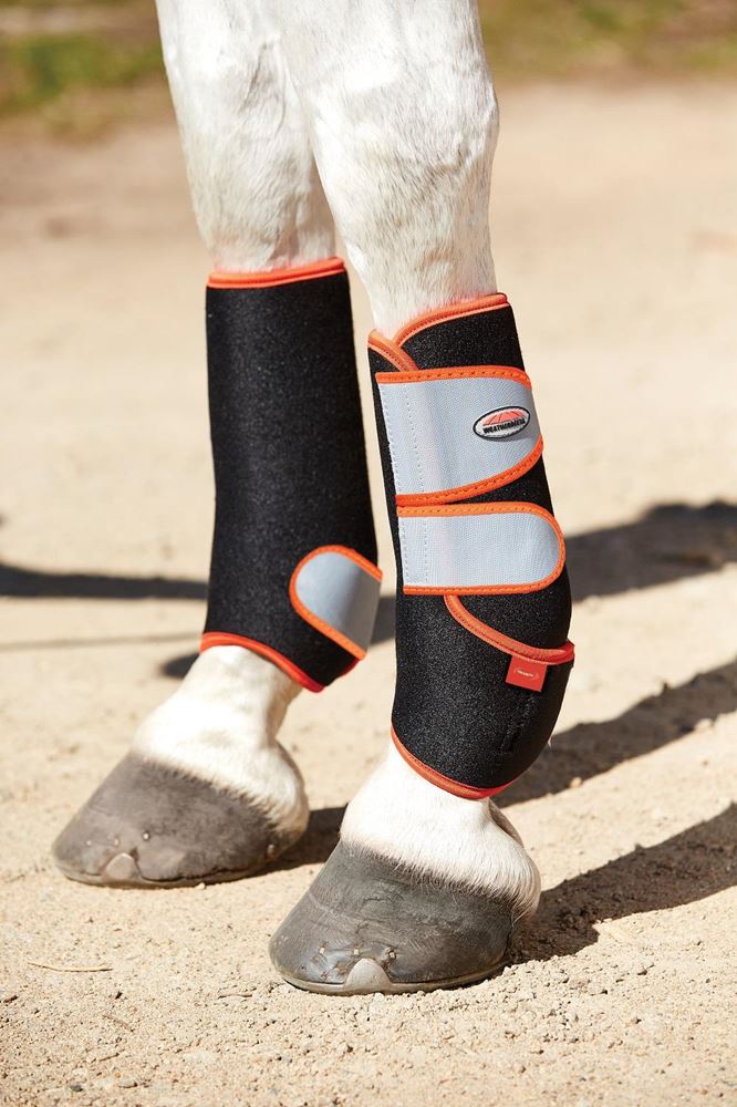 Weatherbeeta Therapy-Tec Sports Boots