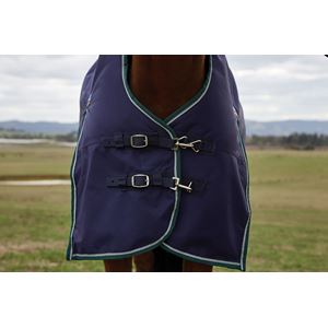 Weatherbeeta Comfitec Plus Dynamic Turnout High Neck - 220g (Navy/Forest Green)