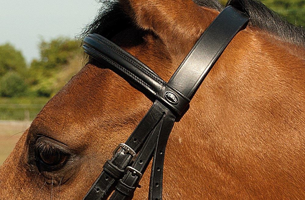 Heritage Saddlery English Leather Bridle with Raised Cavesson Noseband