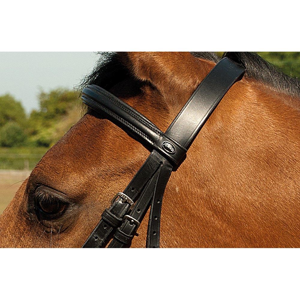 Heritage Saddlery English Leather Bridle with Raised Cavesson Noseband
