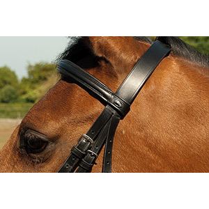 Heritage Saddlery English Leather Bridle with Raised Cavesson Noseband