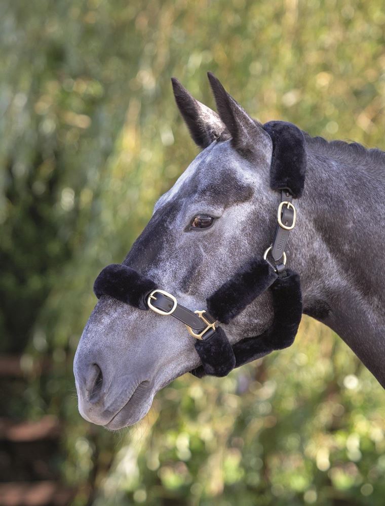 Shires Performance SupaFleece Halter Fleeces (6 Piece)