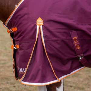 Gallop 1200D TROJAN Xtra 100g Duraproof 5-Point Turnout (Burgundy with Orange/White bindings)