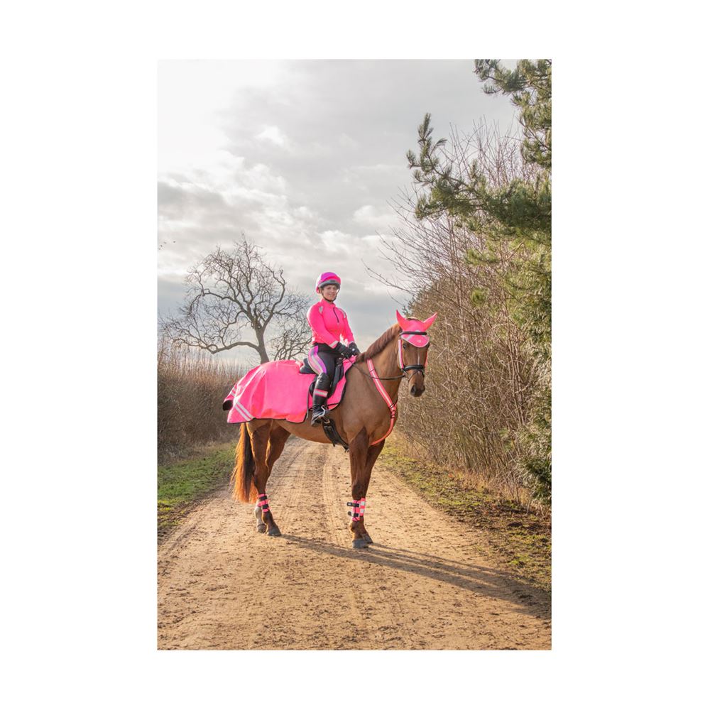 Reflector Base Layer by Hy Equestrian - Adult (Pink)