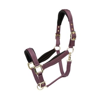 Shires Arma Padded Headcollar (Black Cherry)