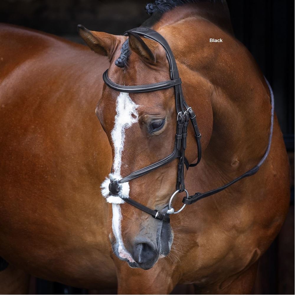 Shires Velociti RAPIDA Grackle Bridle