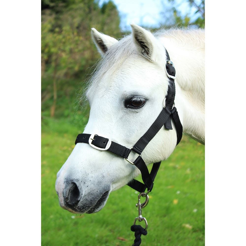 Gallop Headcollar & Leadrope Set (Black)