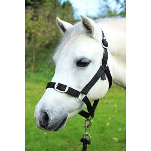 Gallop Headcollar & Leadrope Set (Black)