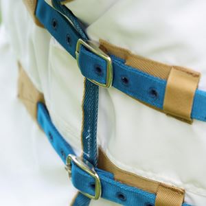 Shires Tempest Plus Sweet-Itch Combo (White)