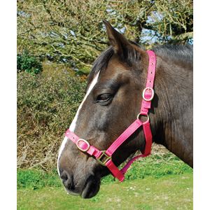 Rhinegold Nylon Headcollar (Raspberry)