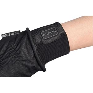 Dublin Synthetic Leather Thinsulate Waterproof Gloves