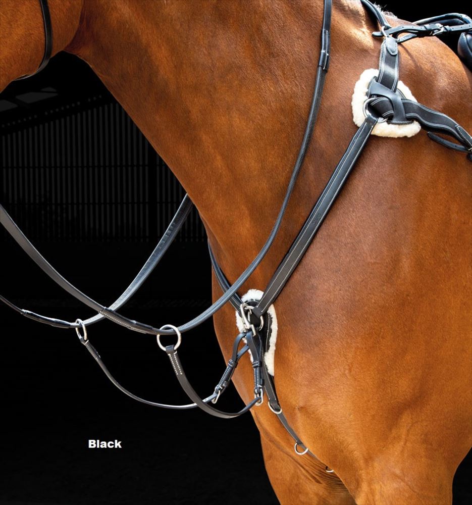 Shires Salisbury 5 Point Breastplate