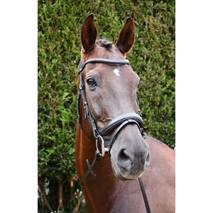 Rhinegold Leather Pro-Anatomical Bridle