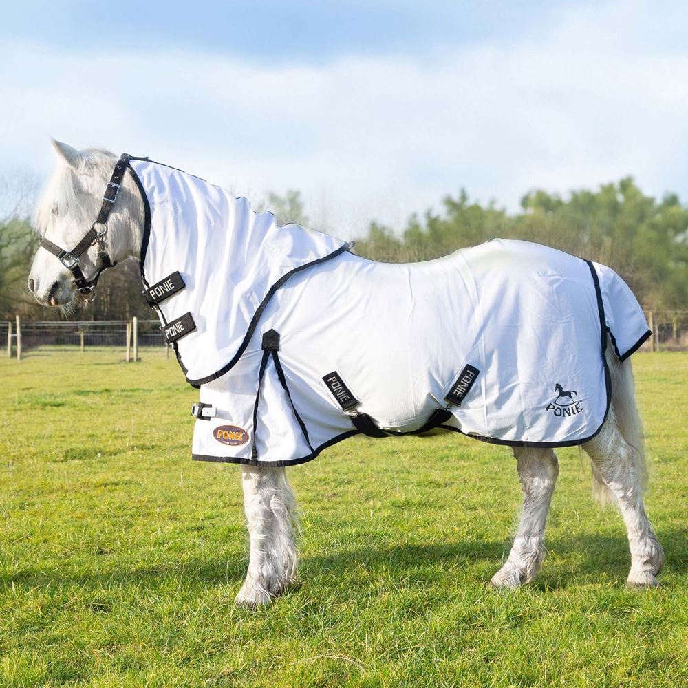 Gallop Ponie Dual 5-Point Fly Rug & Neck Set