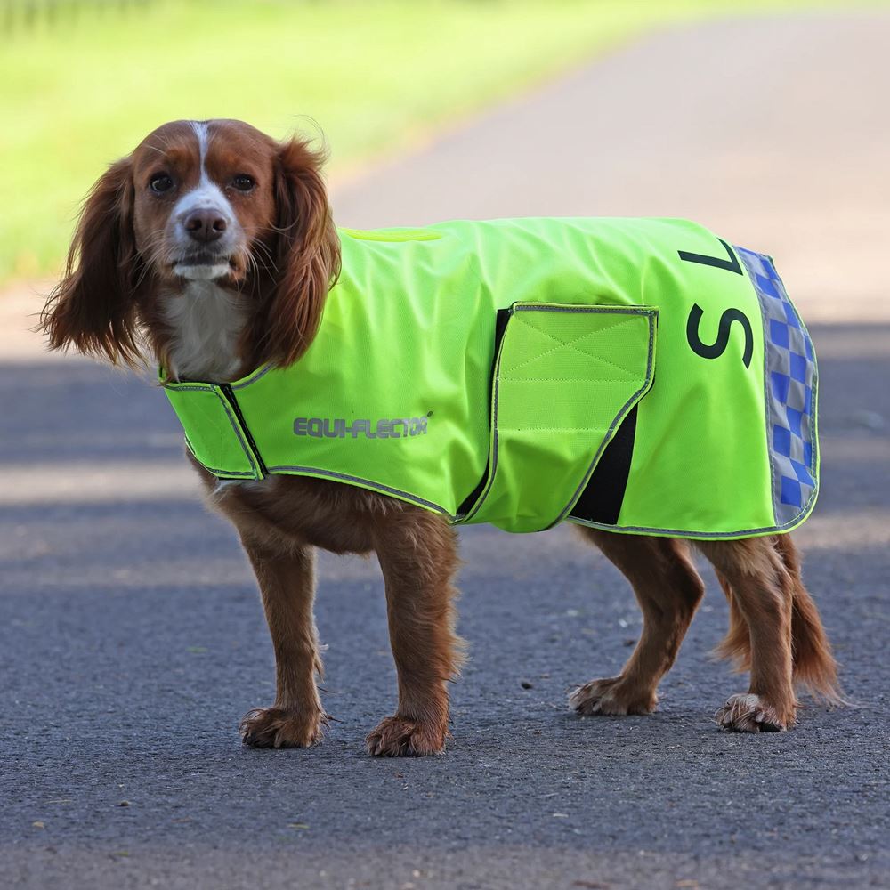 Shires Equi-Flector Mesh Dog Coat (XXXXS - M)