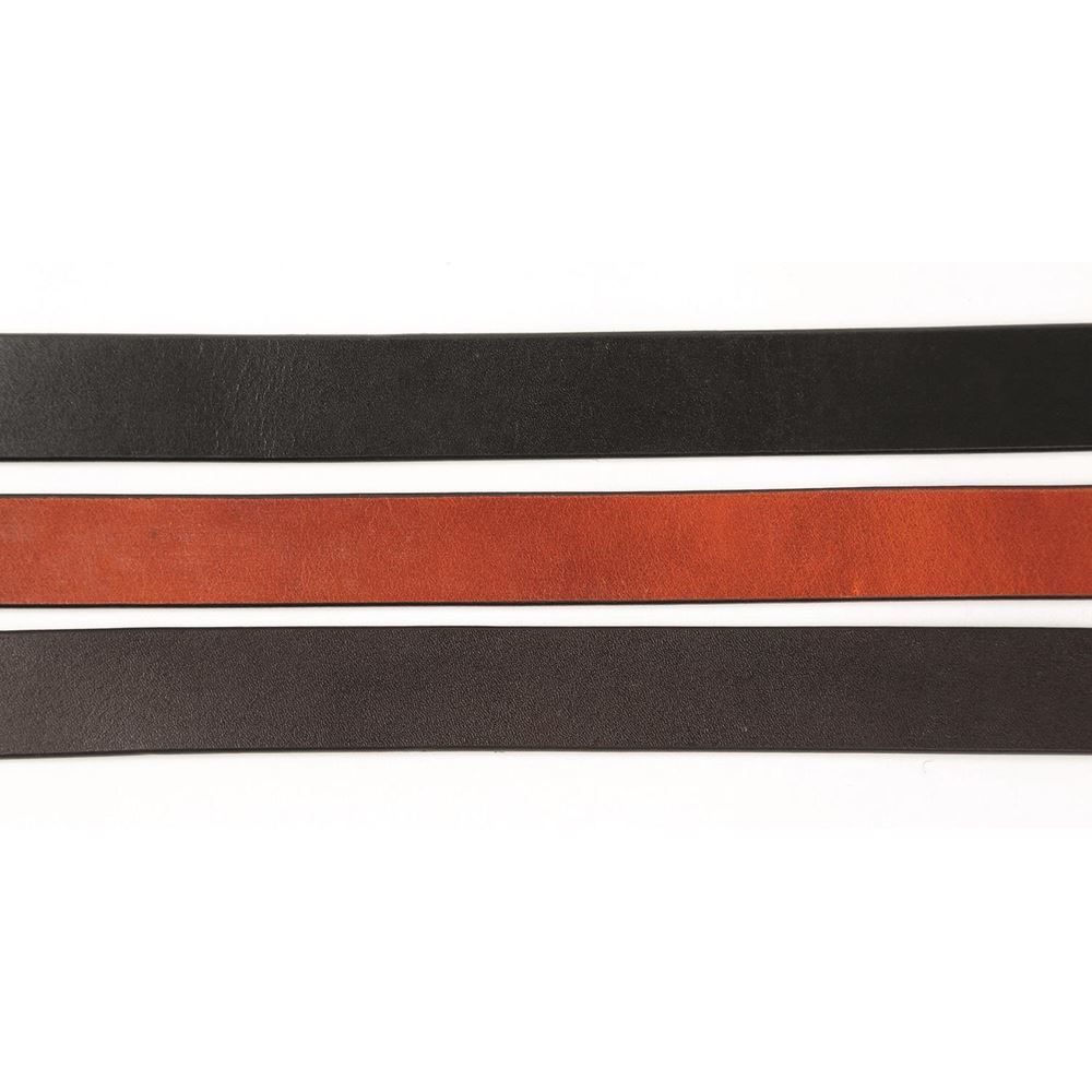 Shires Digby & Fox Flat Leather Dog Lead