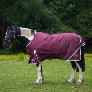 Gallop Trojan Xtra DURAPROOF 50g Standard Neck Turnout Rug (Burgundy/White/Purple)