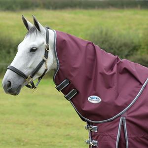 Weatherbeeta Comfitec Plus Dynamic II Neck Rug Medium